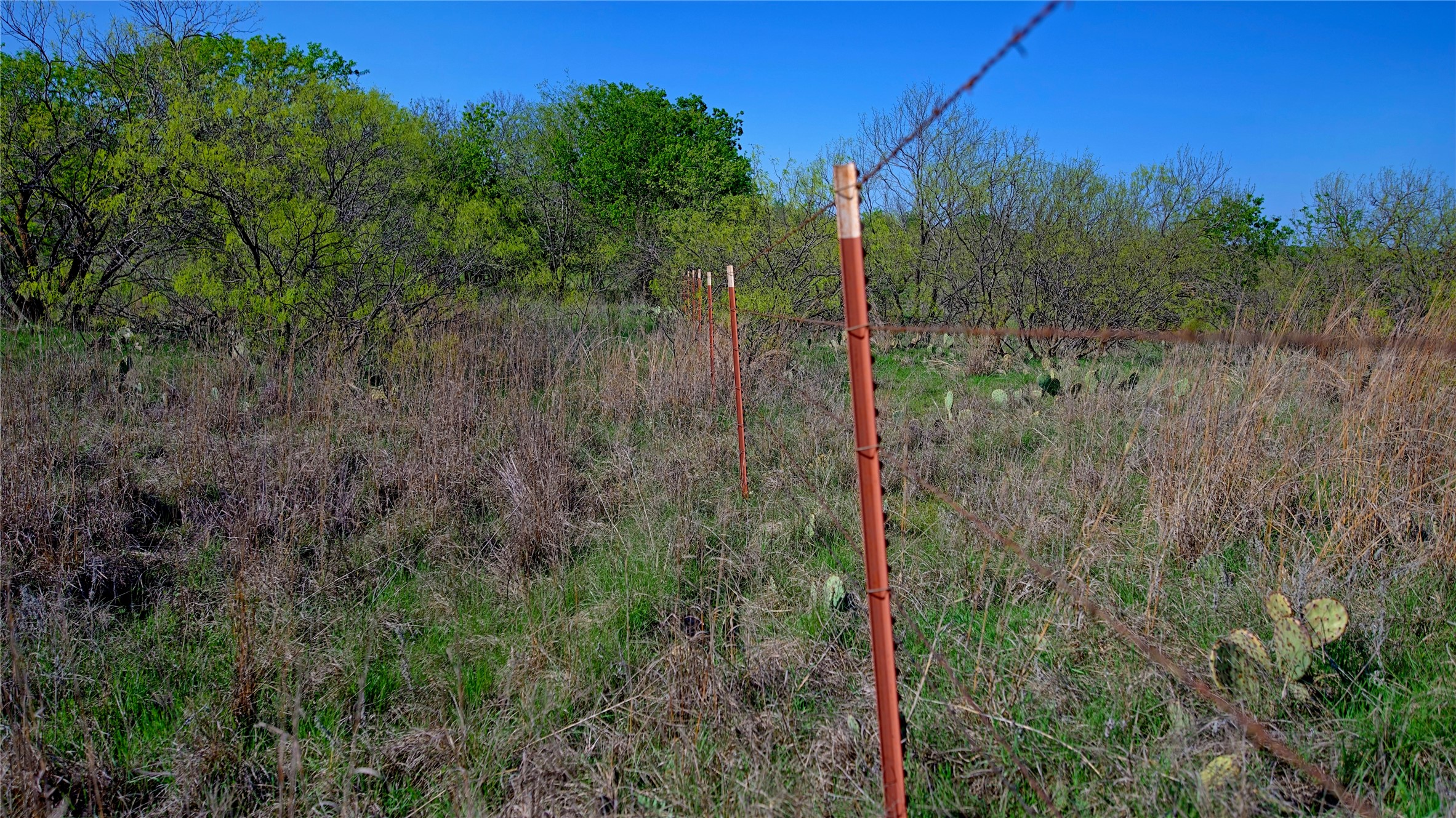 437 Moody Road Ringgold TX 76261