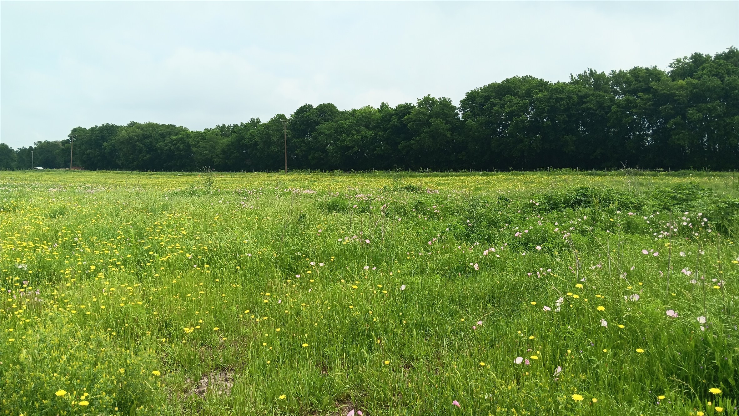 Tbd Cr494 N Chilton TX 76632