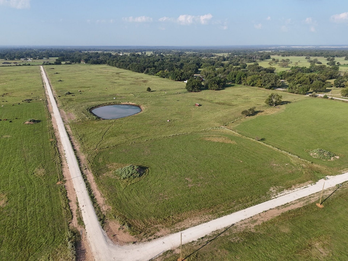 29 County Road 463 Mexia TX 76667