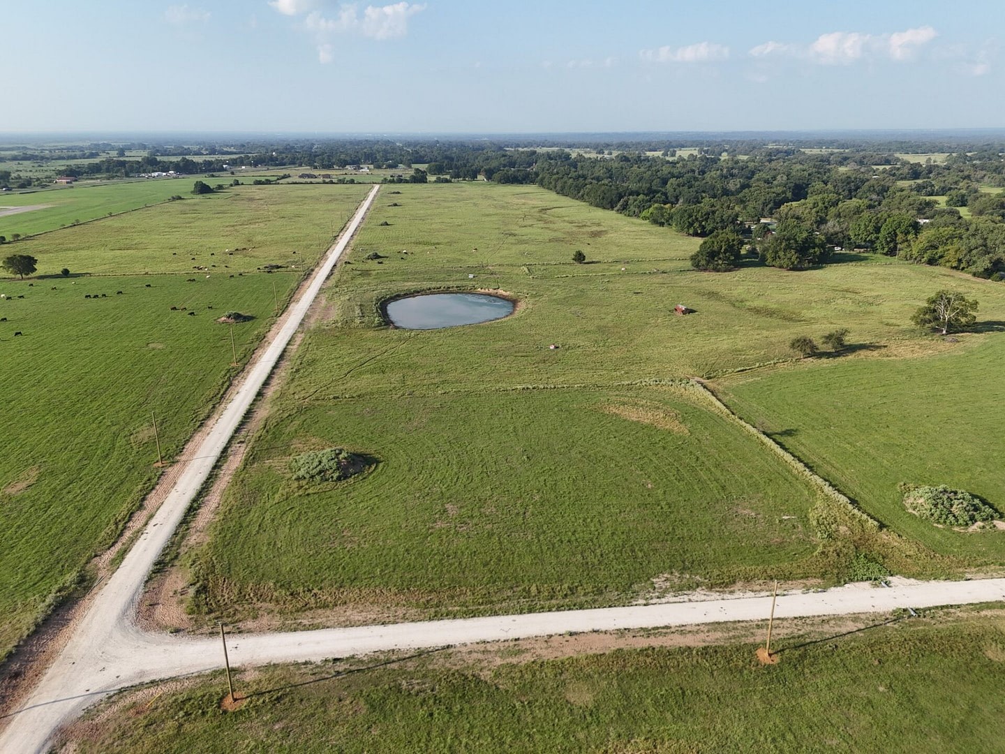 29 County Road 463 Mexia TX 76667