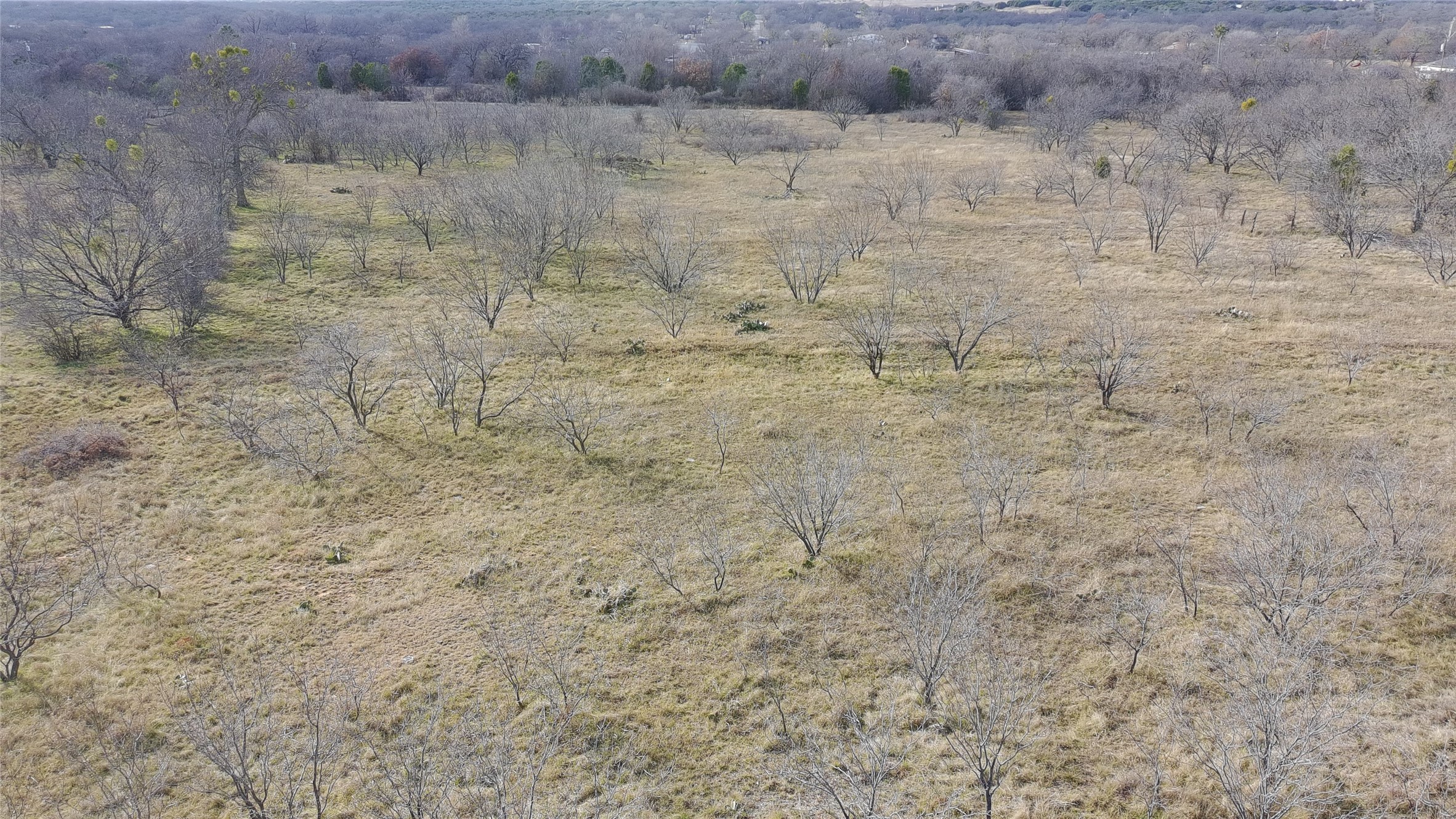 Tbd Shattles Mineral Wells TX 76067