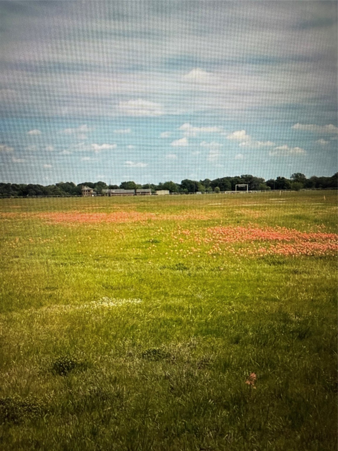 19774 Fm 47 Wills Point TX 75169