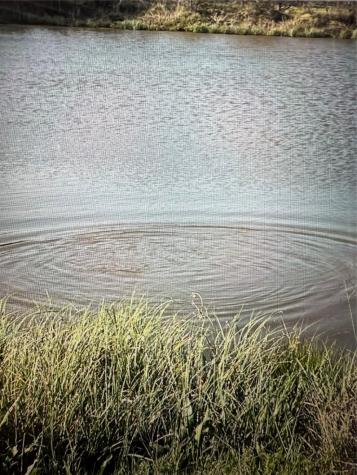 19774 Fm 47 Wills Point TX 75169