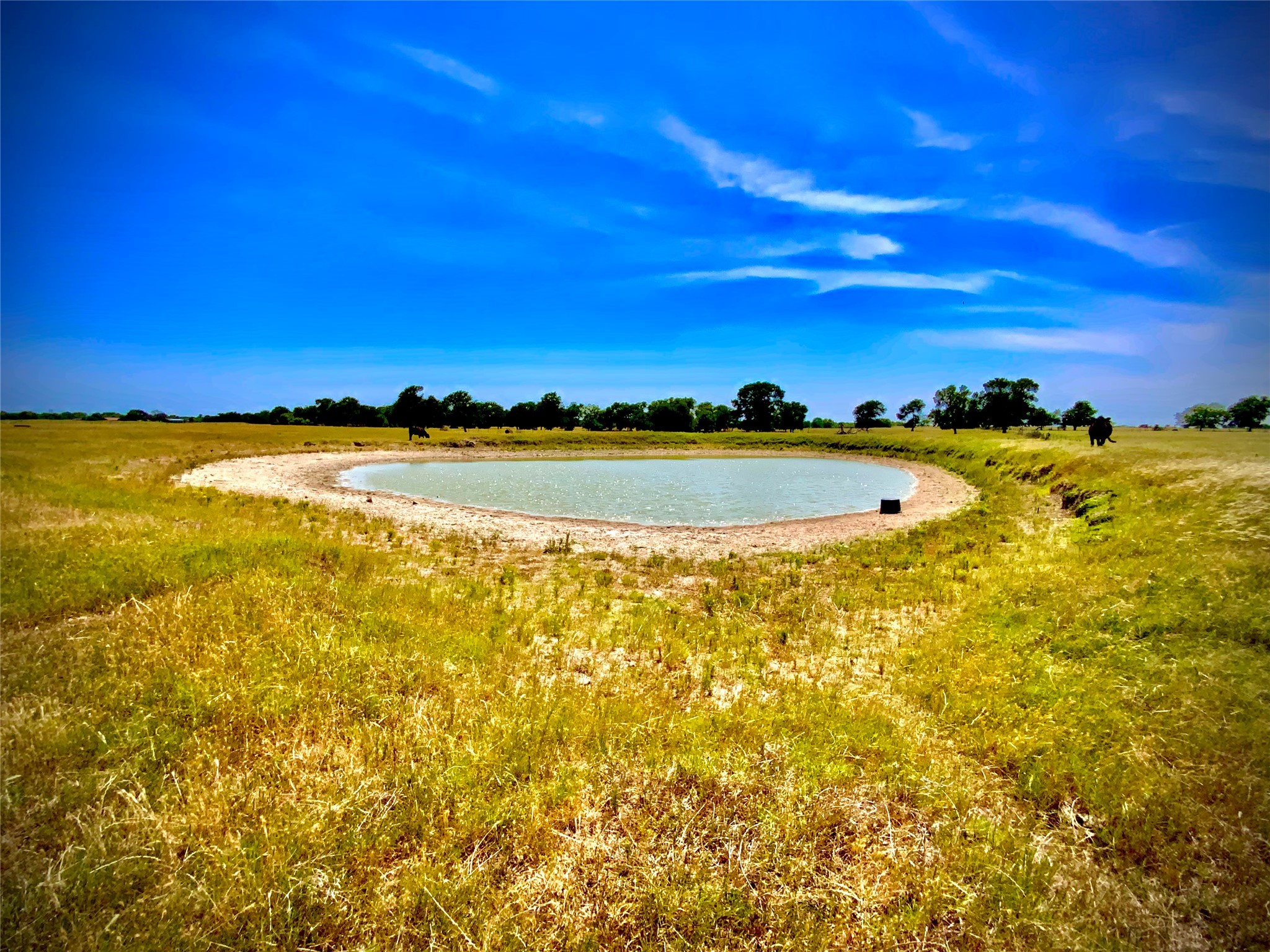Tbd- Tract 10a Cr 137 Marlin TX 76661