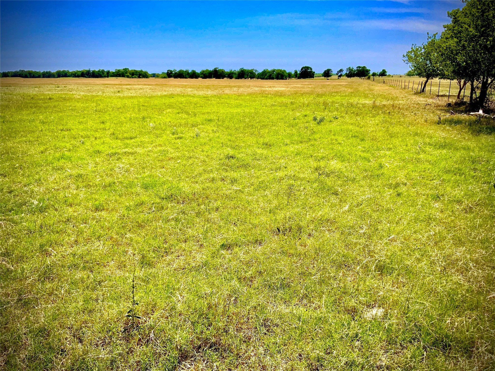 Tbd- Tract 10a Cr 137 Marlin TX 76661