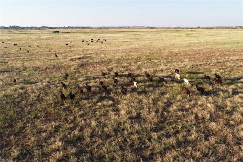 11000 County Road 110 W Vernon TX 76384