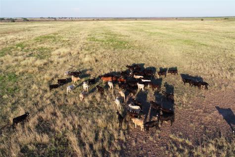 11000 County Road 110 W Vernon TX 76384
