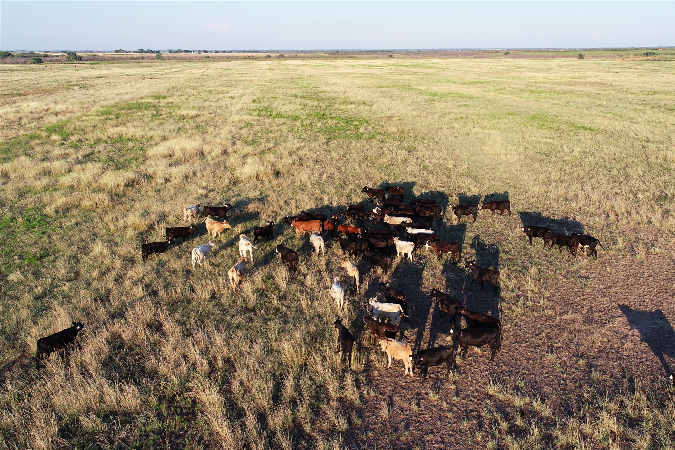 11000 County Road 110 W Vernon TX 76384