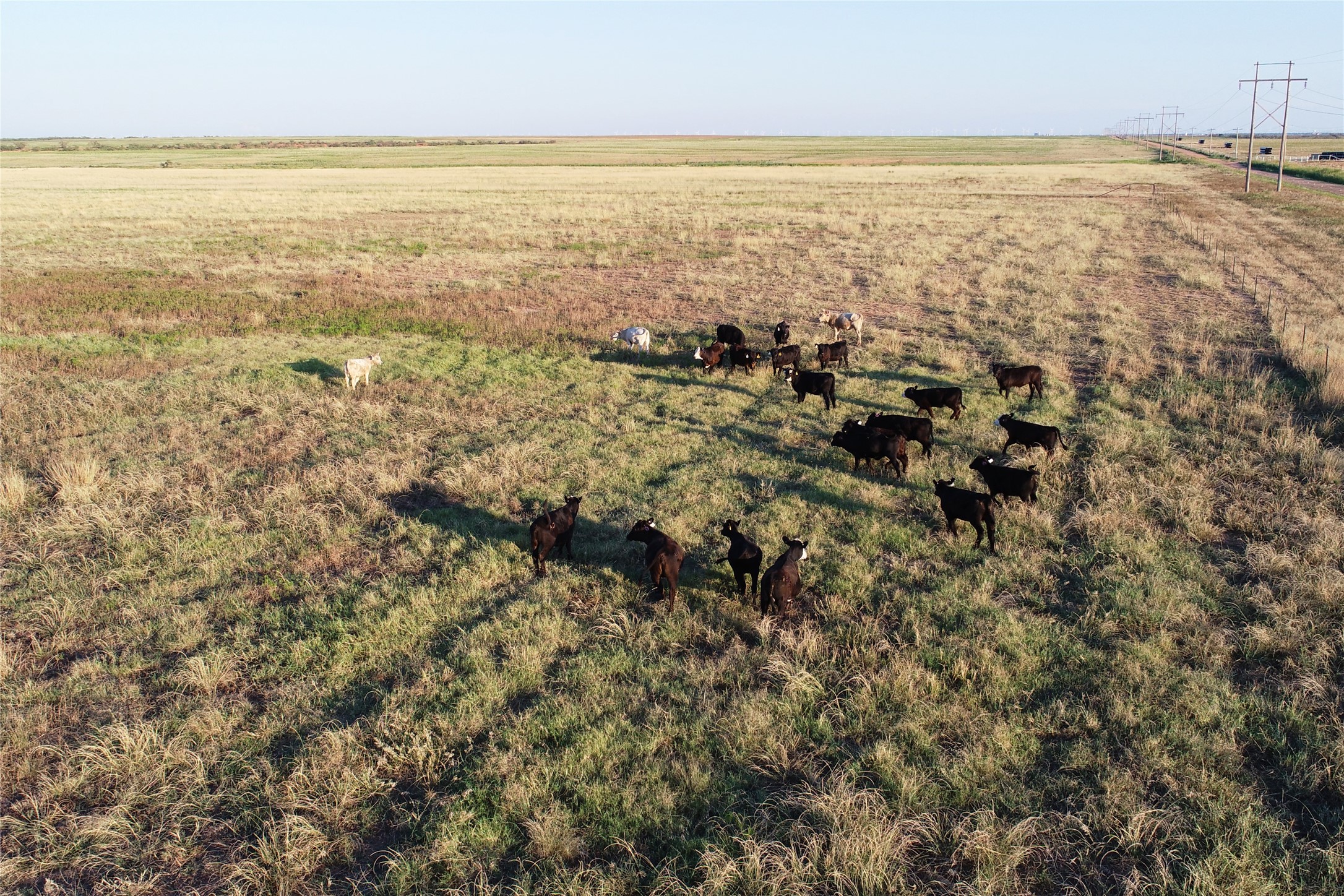11000 County Road 110 W Vernon TX 76384