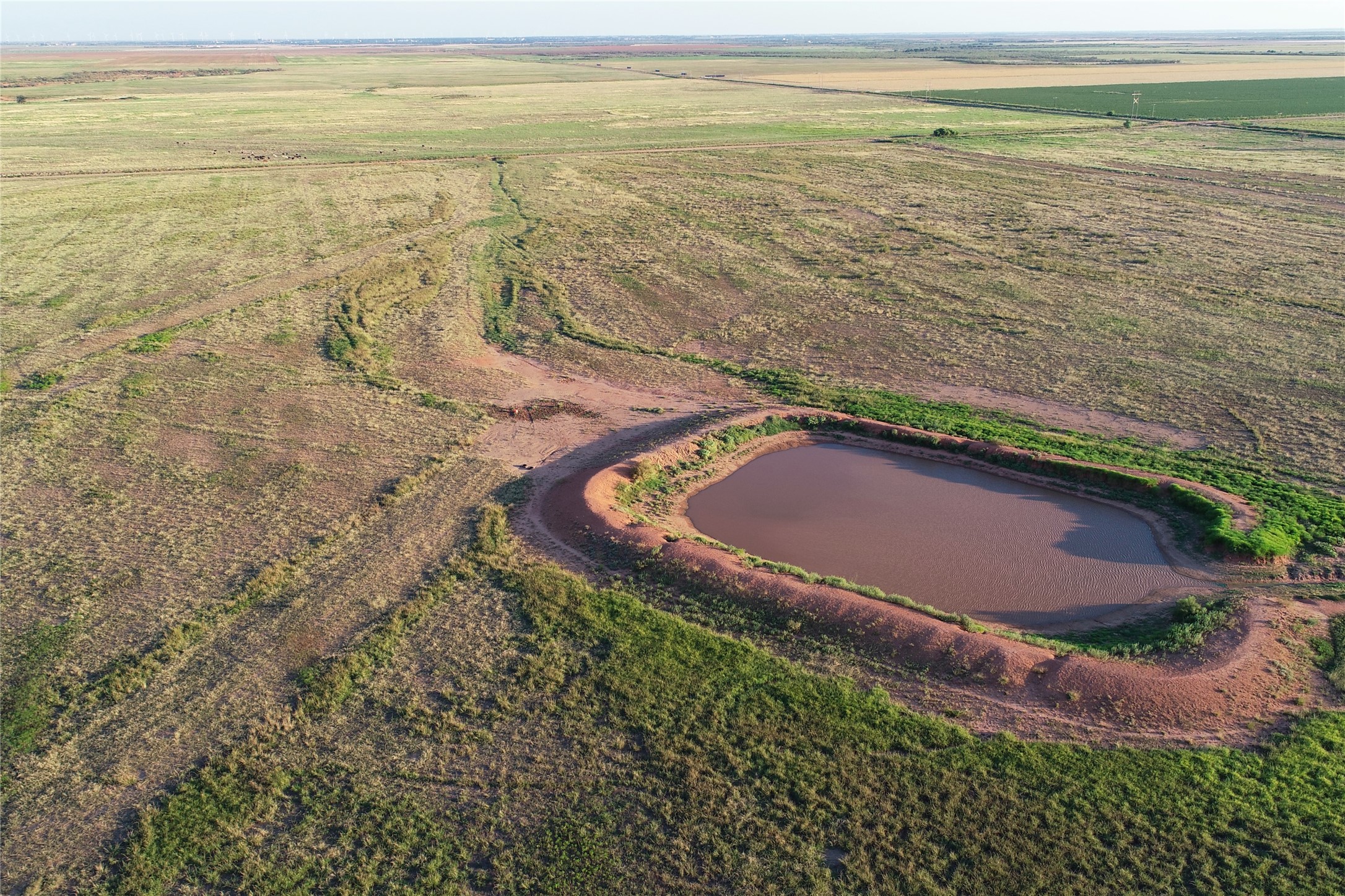 11000 County Road 110 W Vernon TX 76384