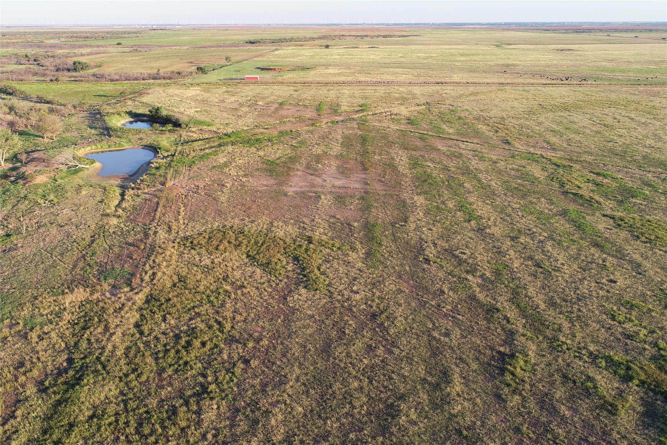 11000 County Road 110 W Vernon TX 76384