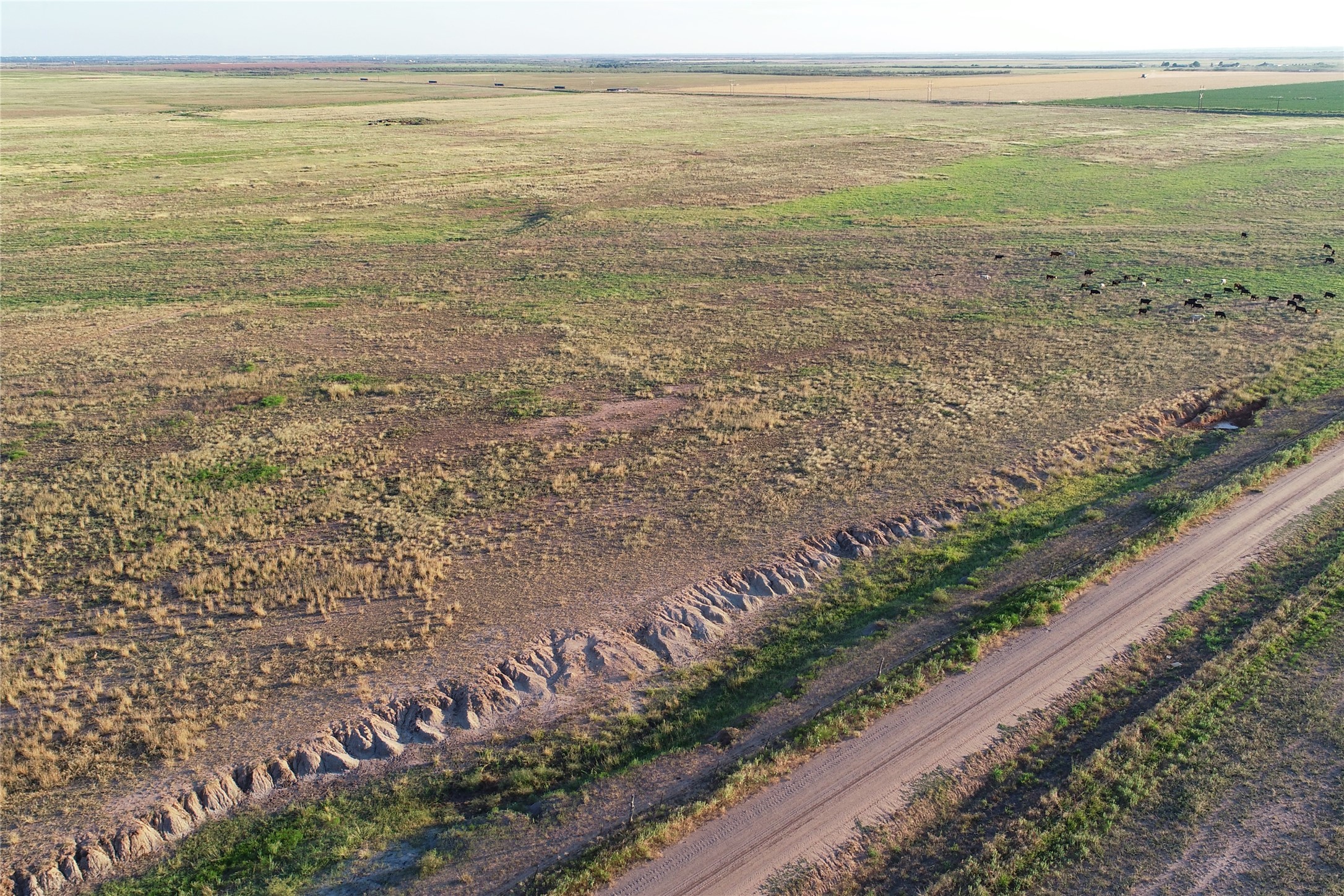 11000 County Road 110 W Vernon TX 76384