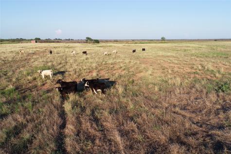 11000 County Road 110 W Vernon TX 76384