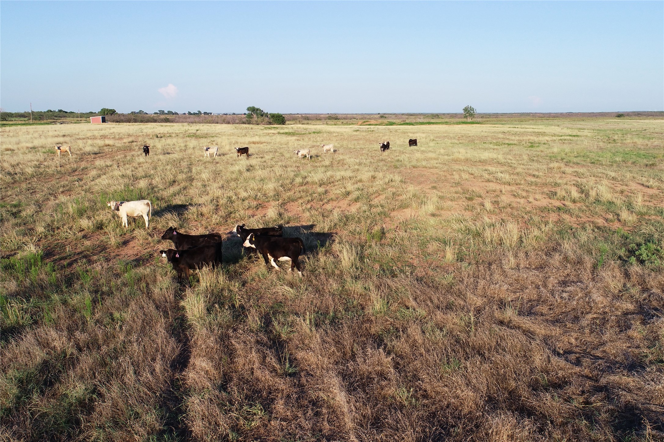 11000 County Road 110 W Vernon TX 76384