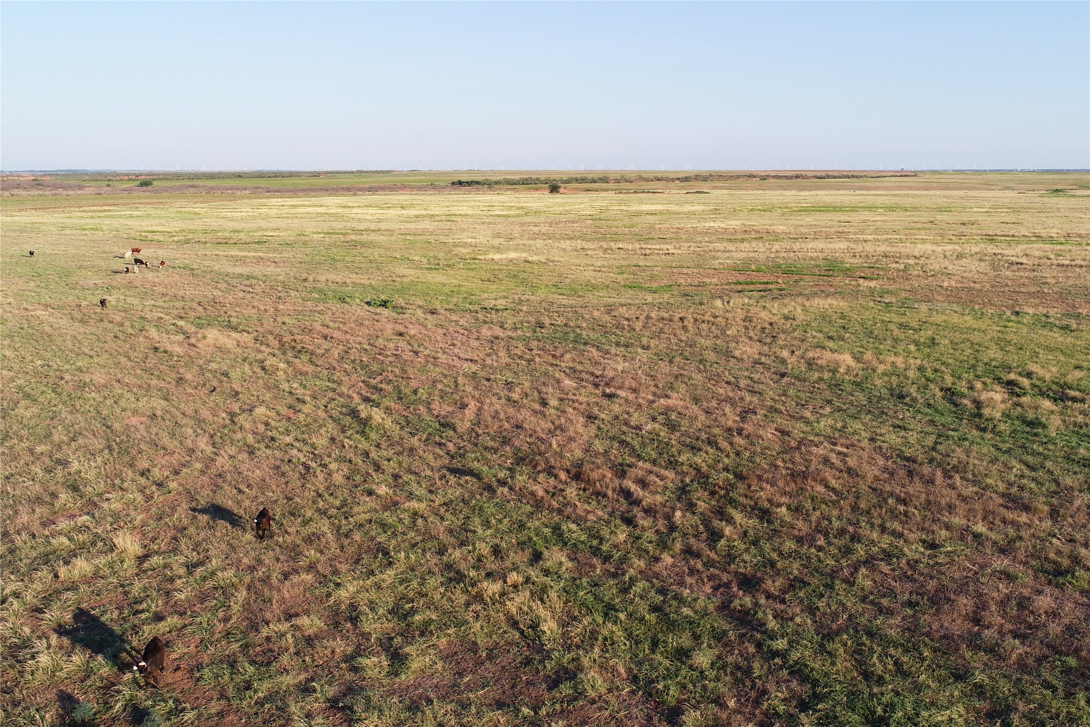 11000 County Road 110 W Vernon TX 76384