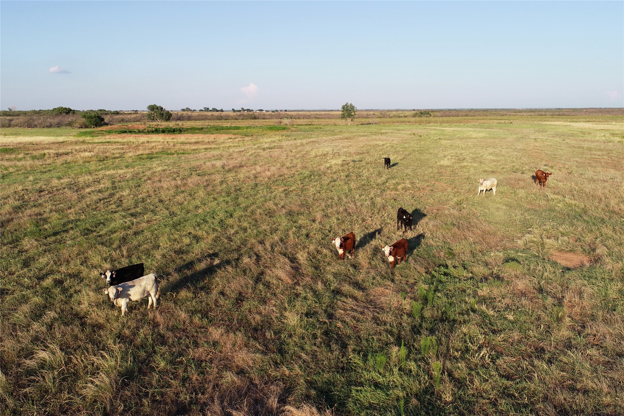 11000 County Road 110 W Vernon TX 76384