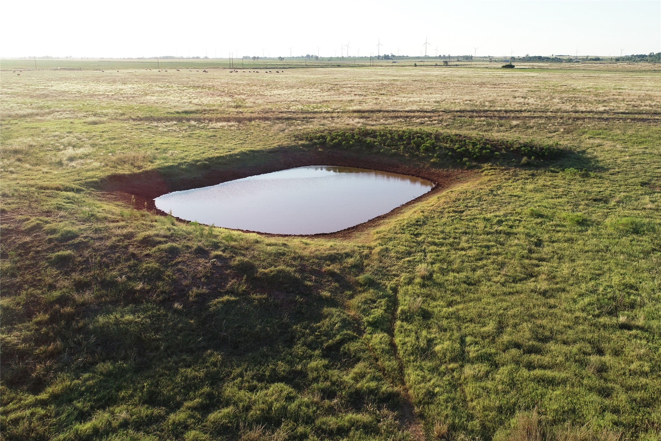 11000 County Road 110 W Vernon TX 76384