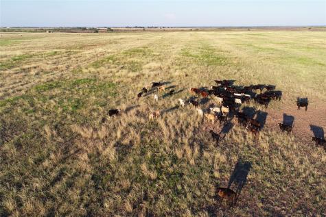 11000 County Road 110 W Vernon TX 76384