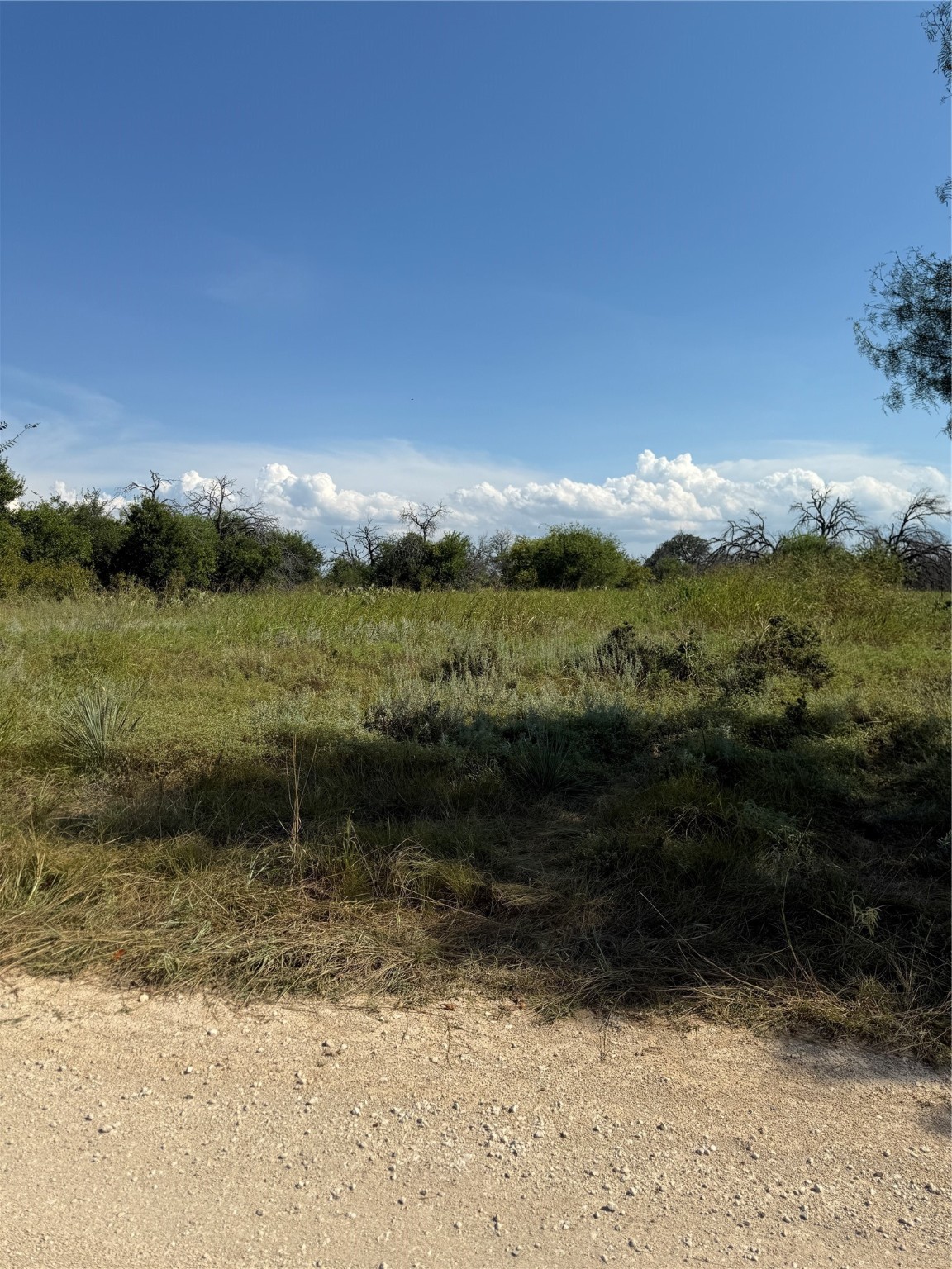 Tbd Cr 187 Comanche TX 76442