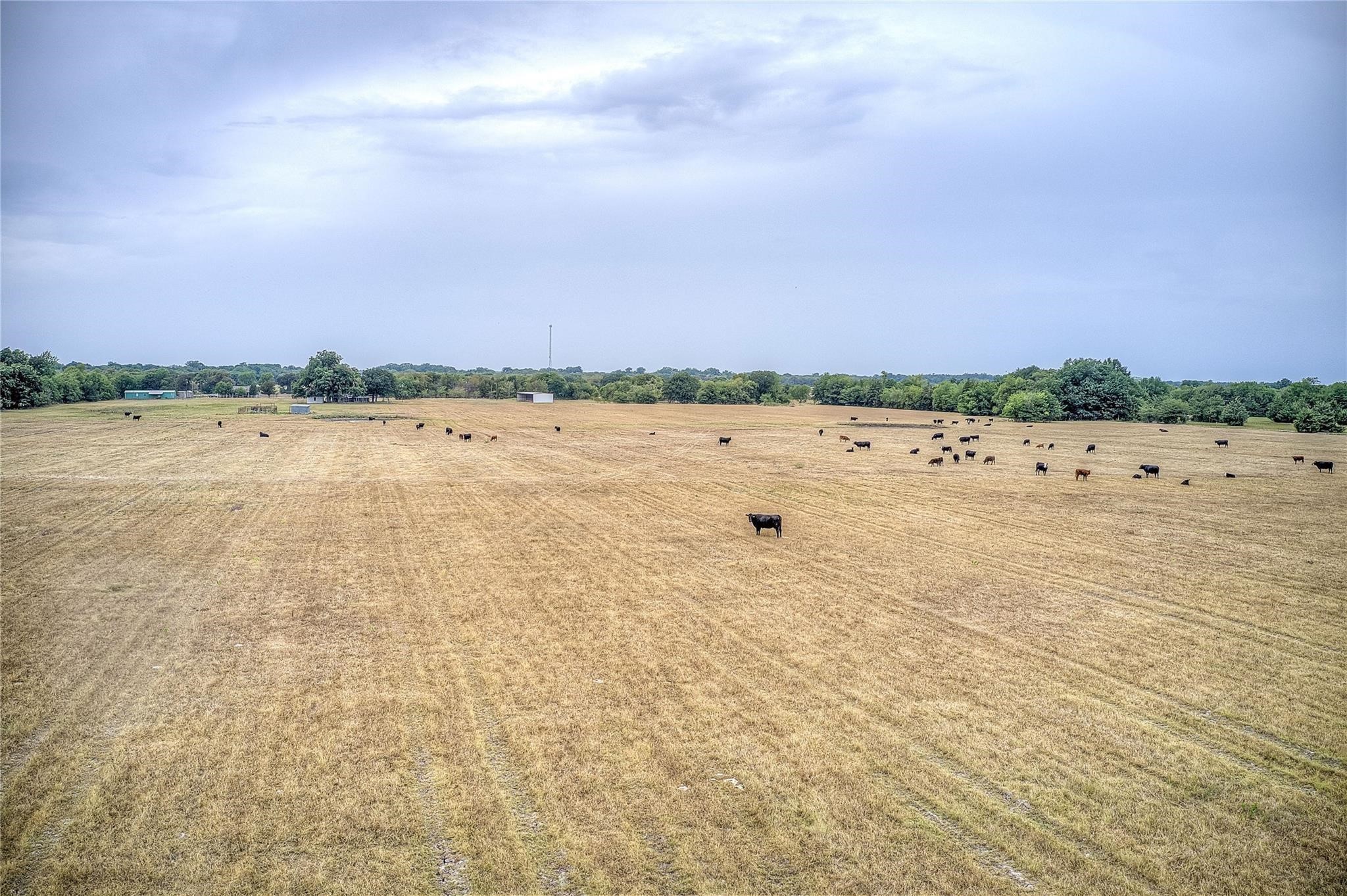 00 County Road 4410 Commerce TX 75428
