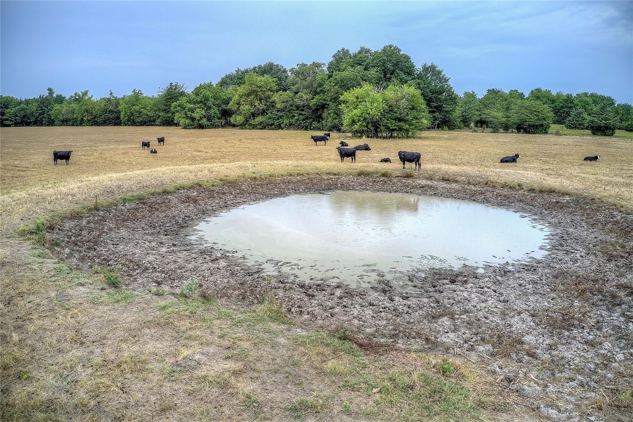 00 County Road 4410 Commerce TX 75428