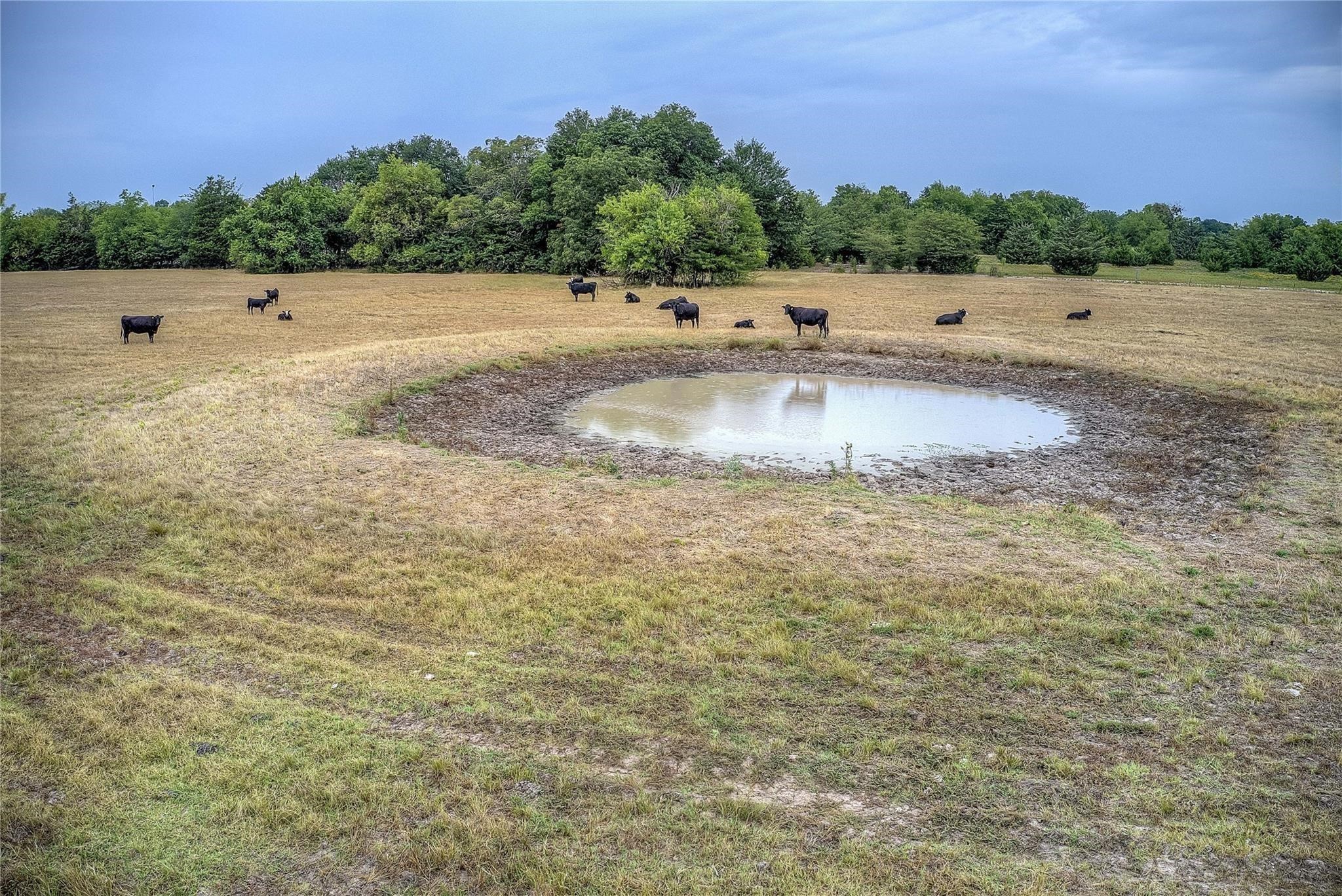 00 County Road 4410 Commerce TX 75428