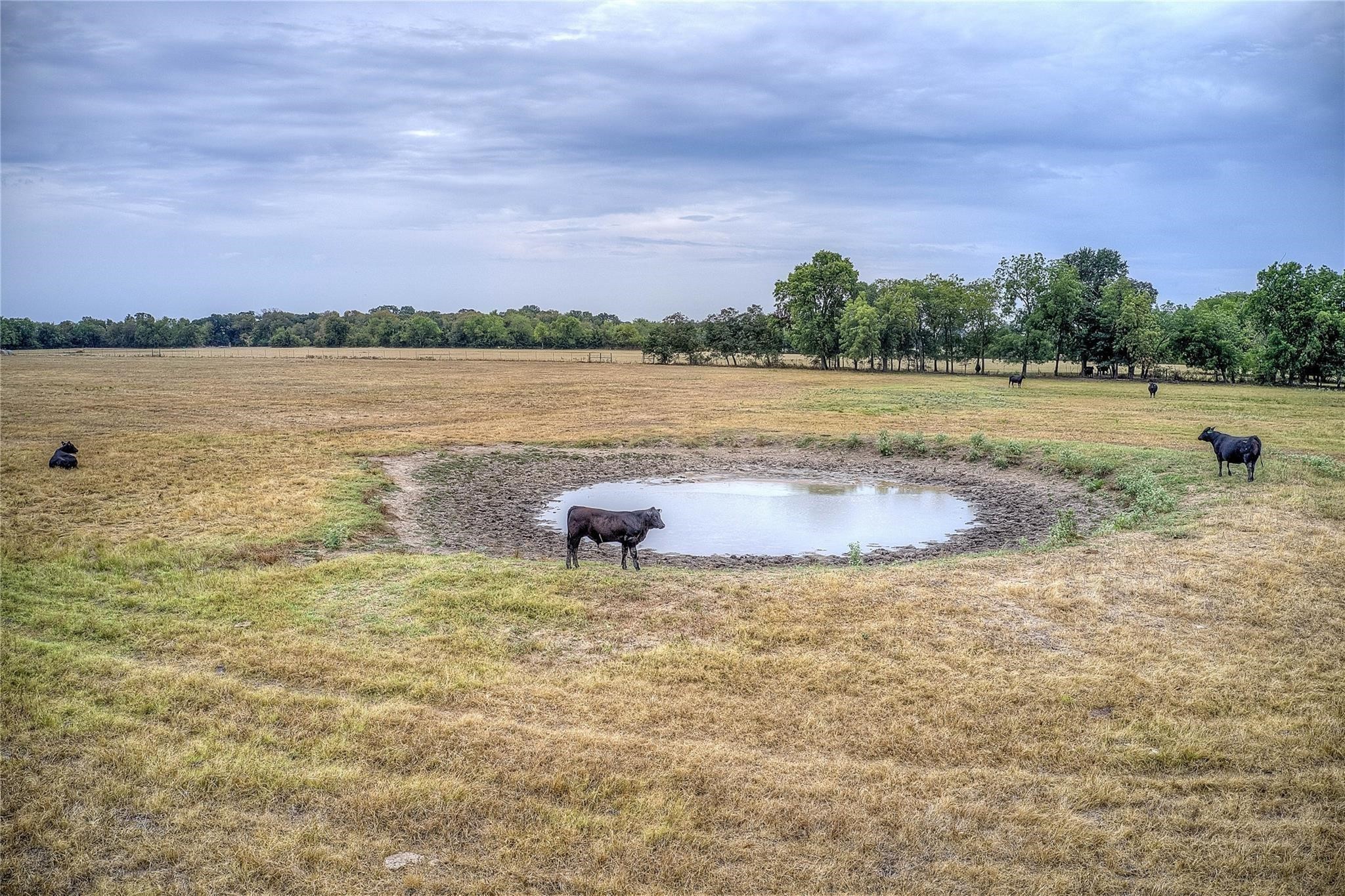 00 County Road 4410 Commerce TX 75428