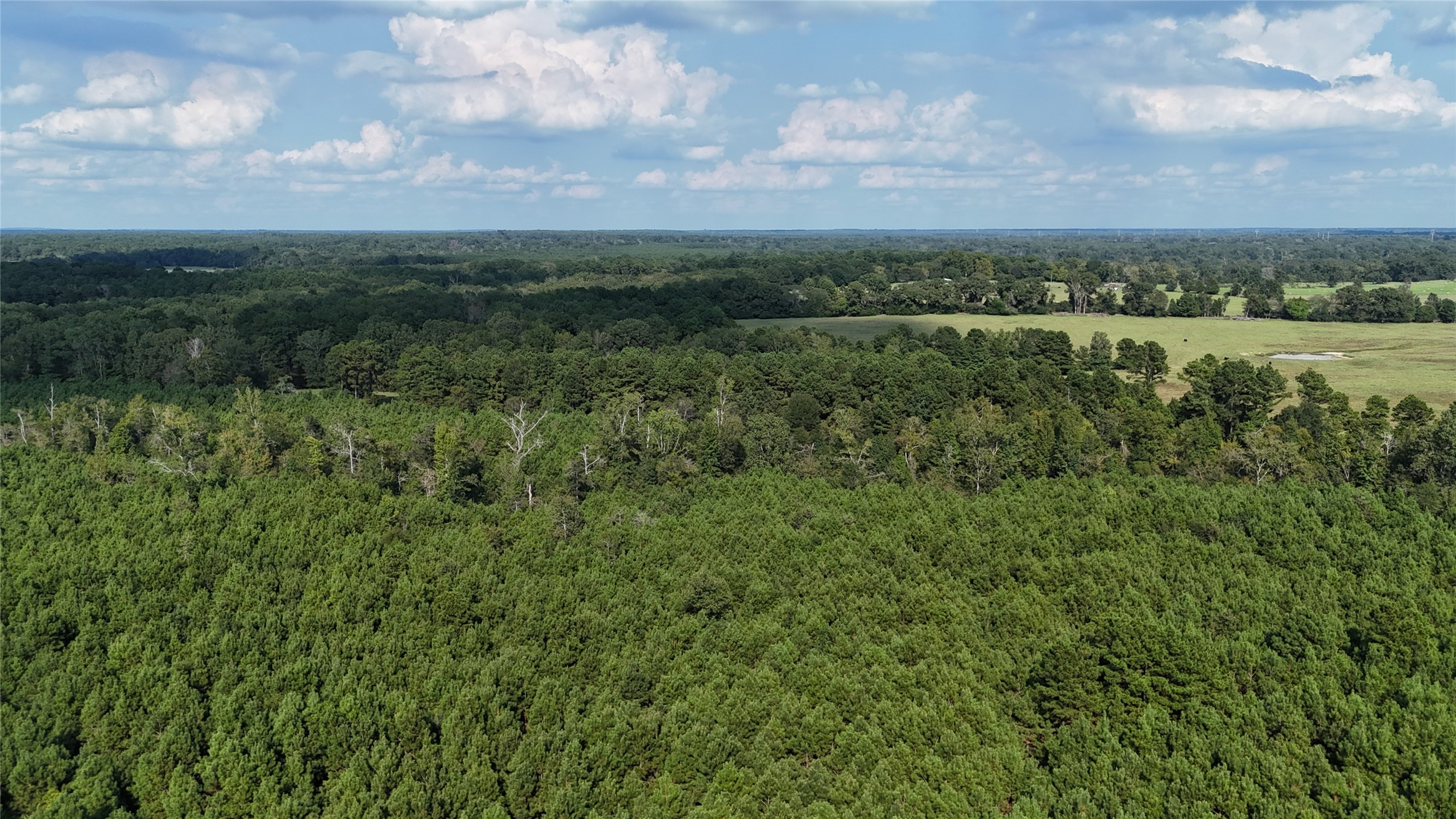 Tbd County Road 3121 Long Branch TX 75669