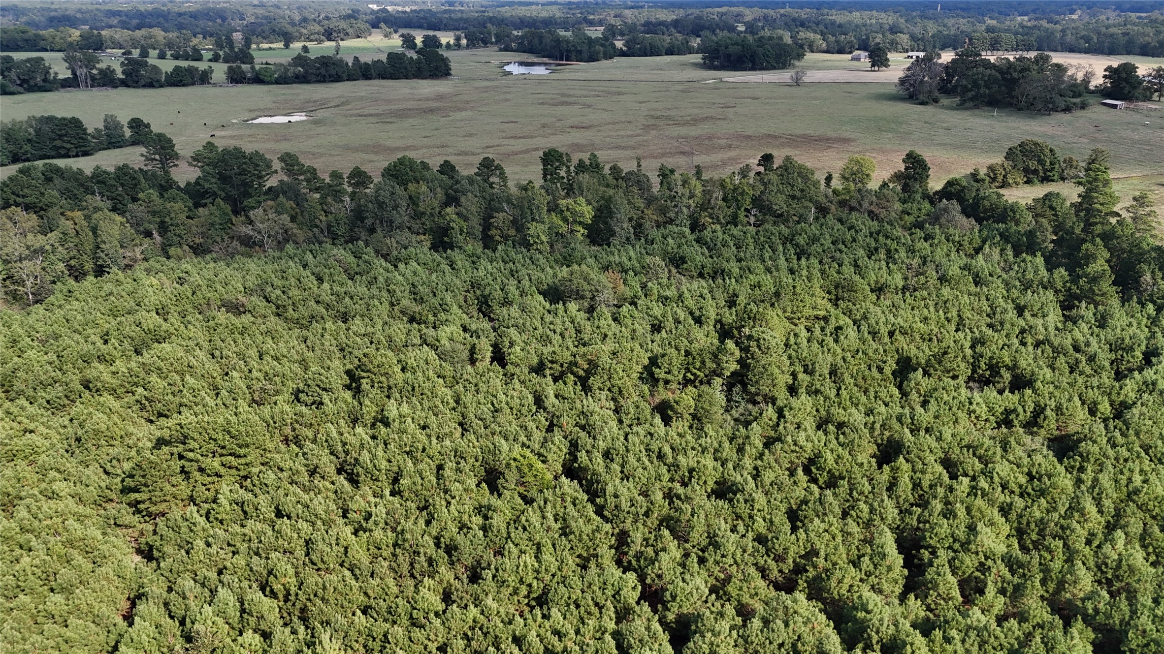 Tbd County Road 3121 Long Branch TX 75669