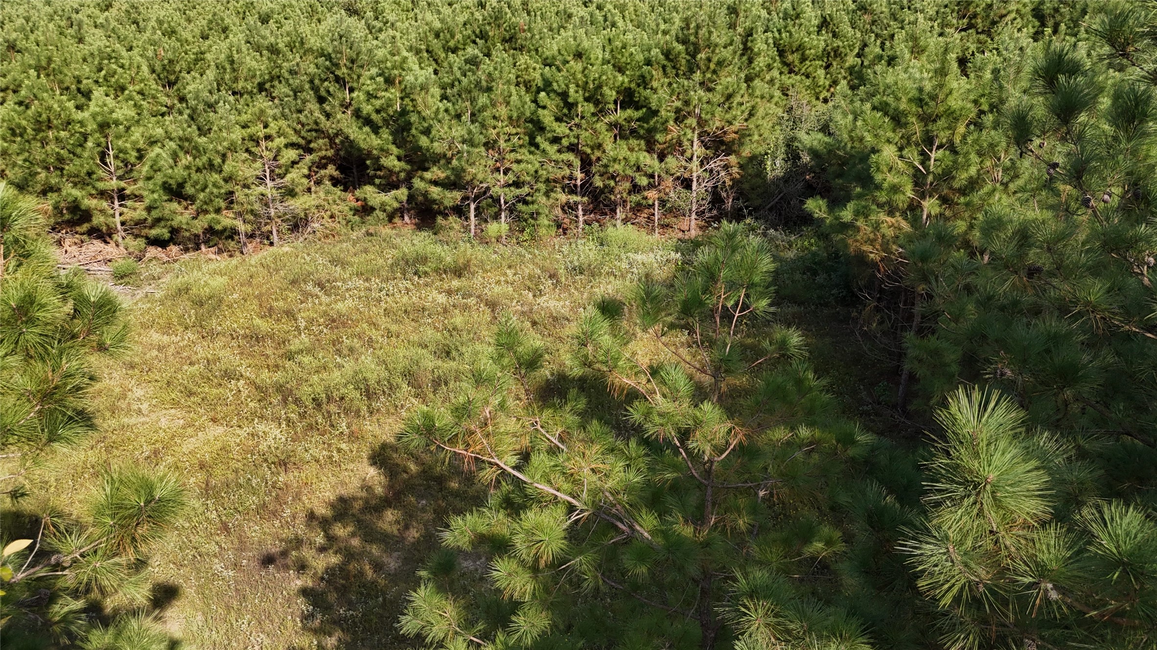 Tbd County Road 3121 Long Branch TX 75669