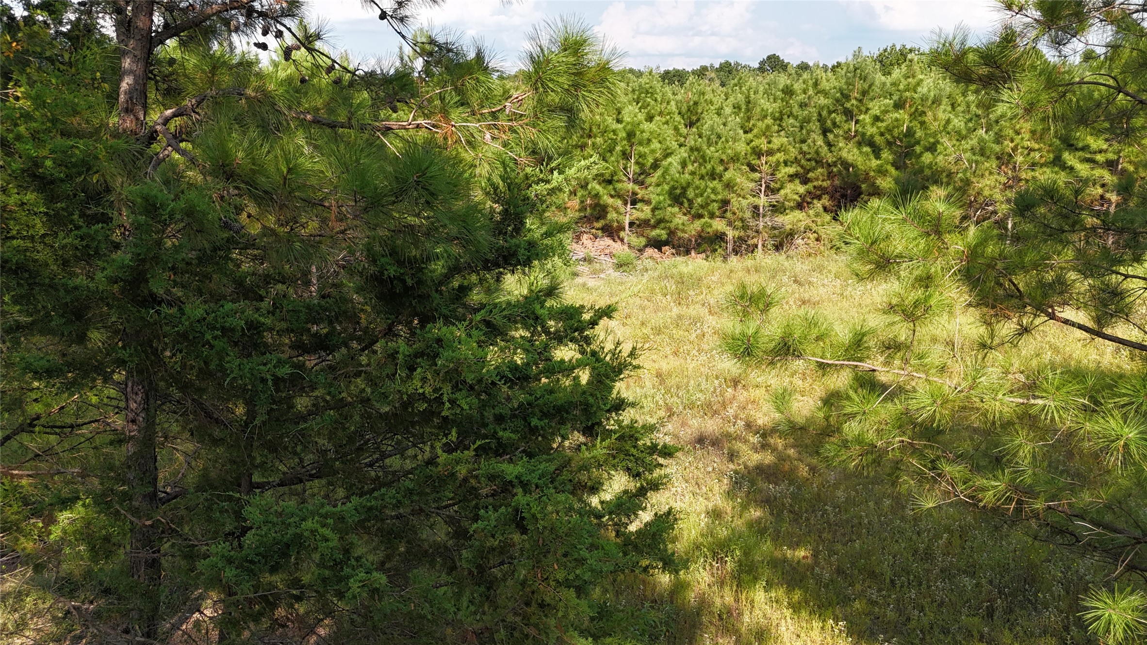 Tbd County Road 3121 Long Branch TX 75669