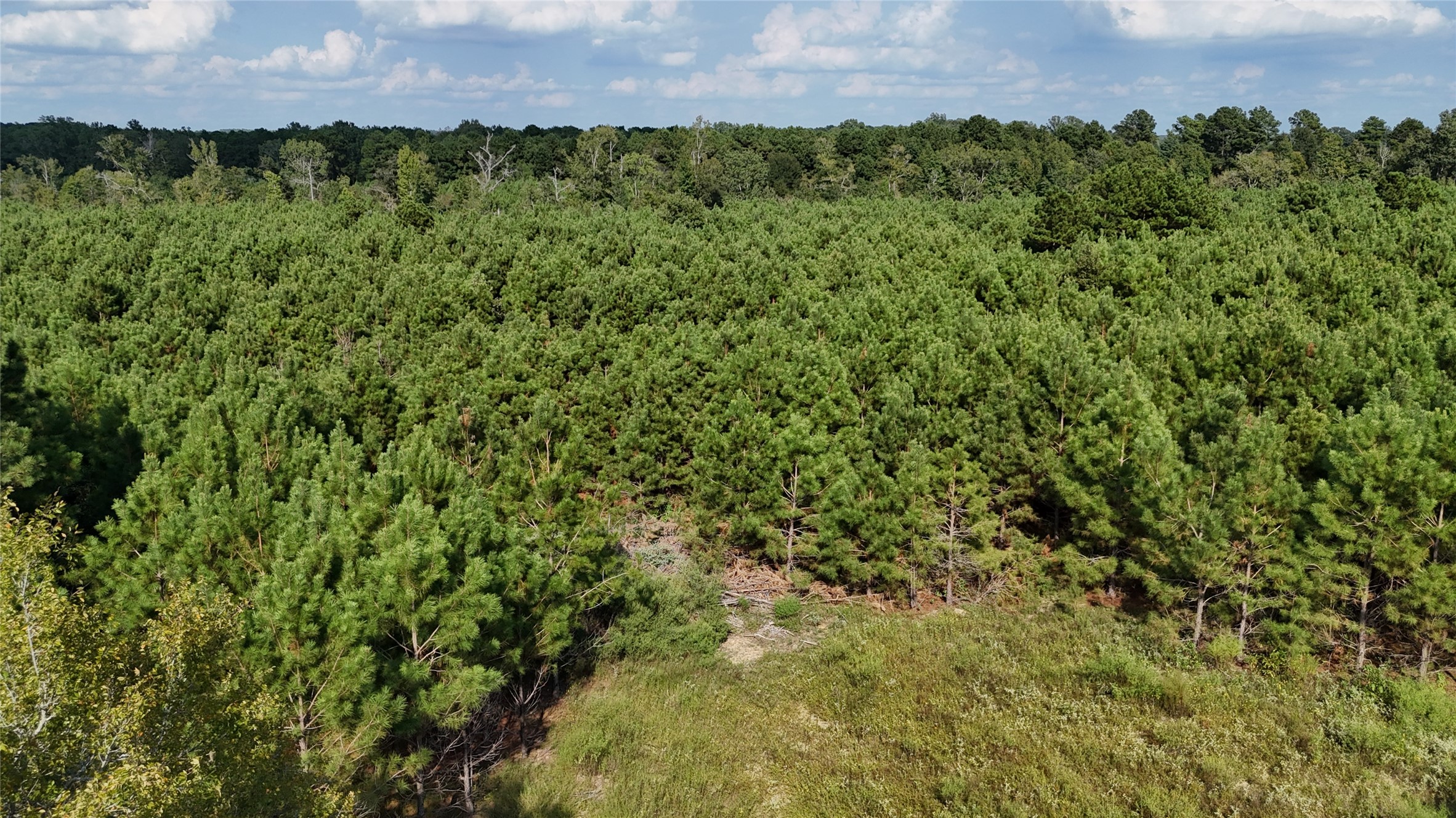 Tbd County Road 3121 Long Branch TX 75669