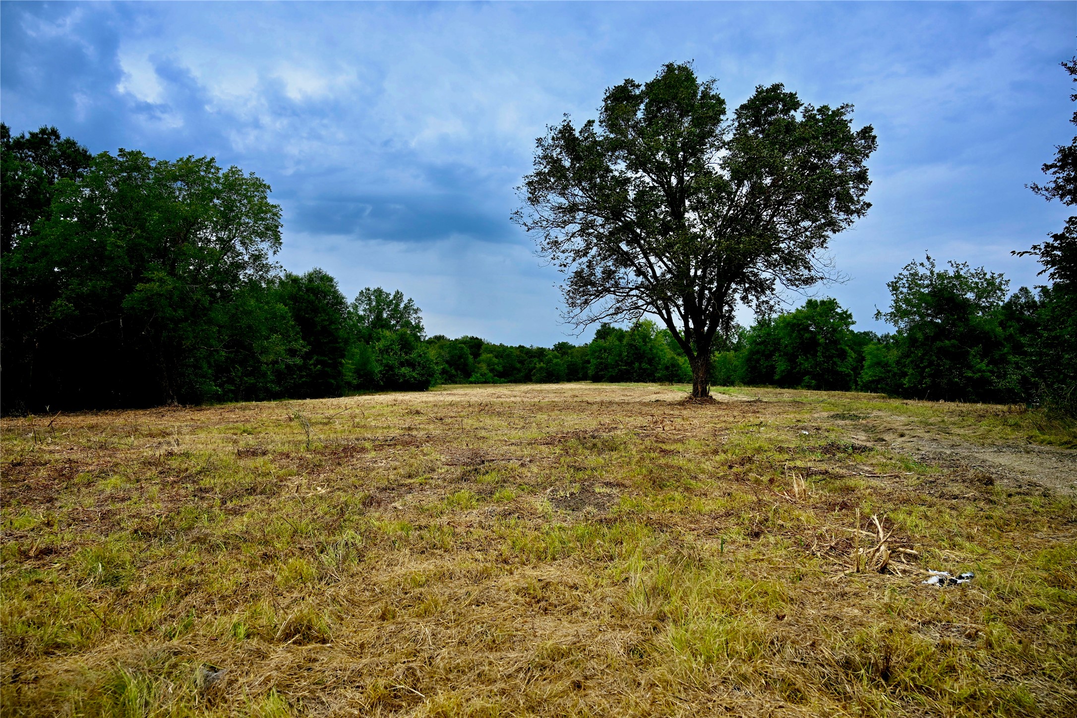 Tbd Fm 71 Highway Talco TX 75487