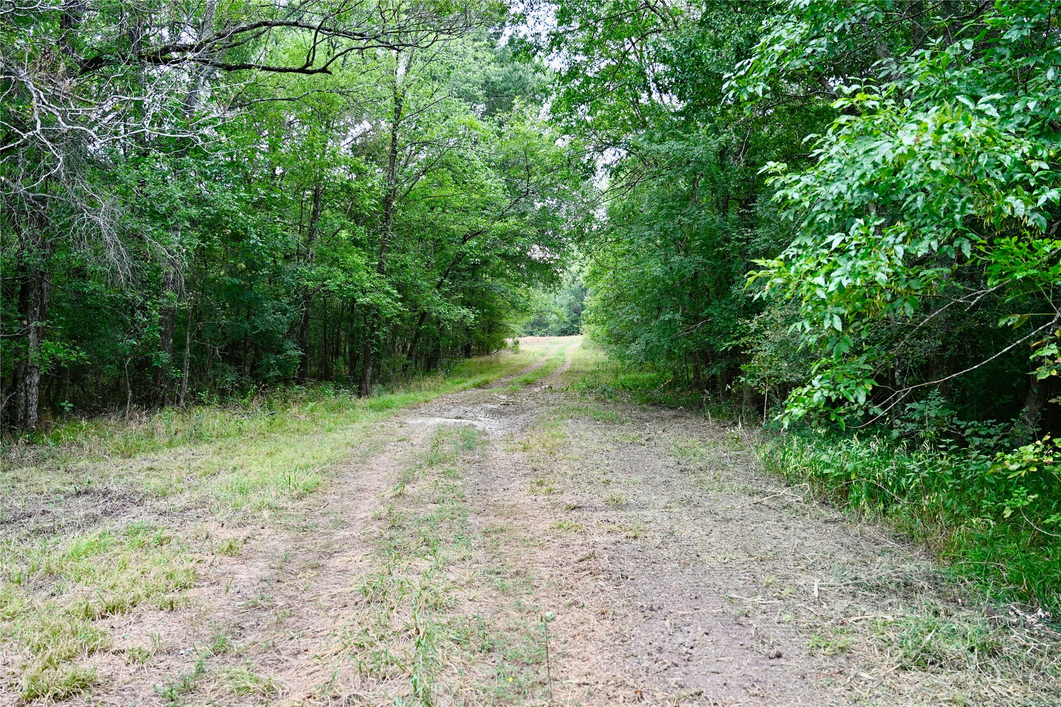Tbd Fm 71 Highway Talco TX 75487