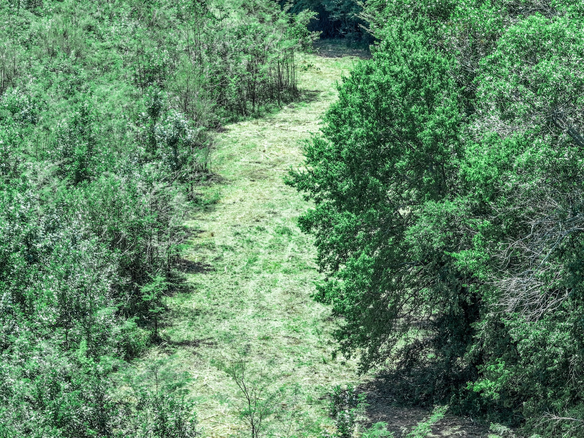 Tbd Fm 71 Highway Talco TX 75487