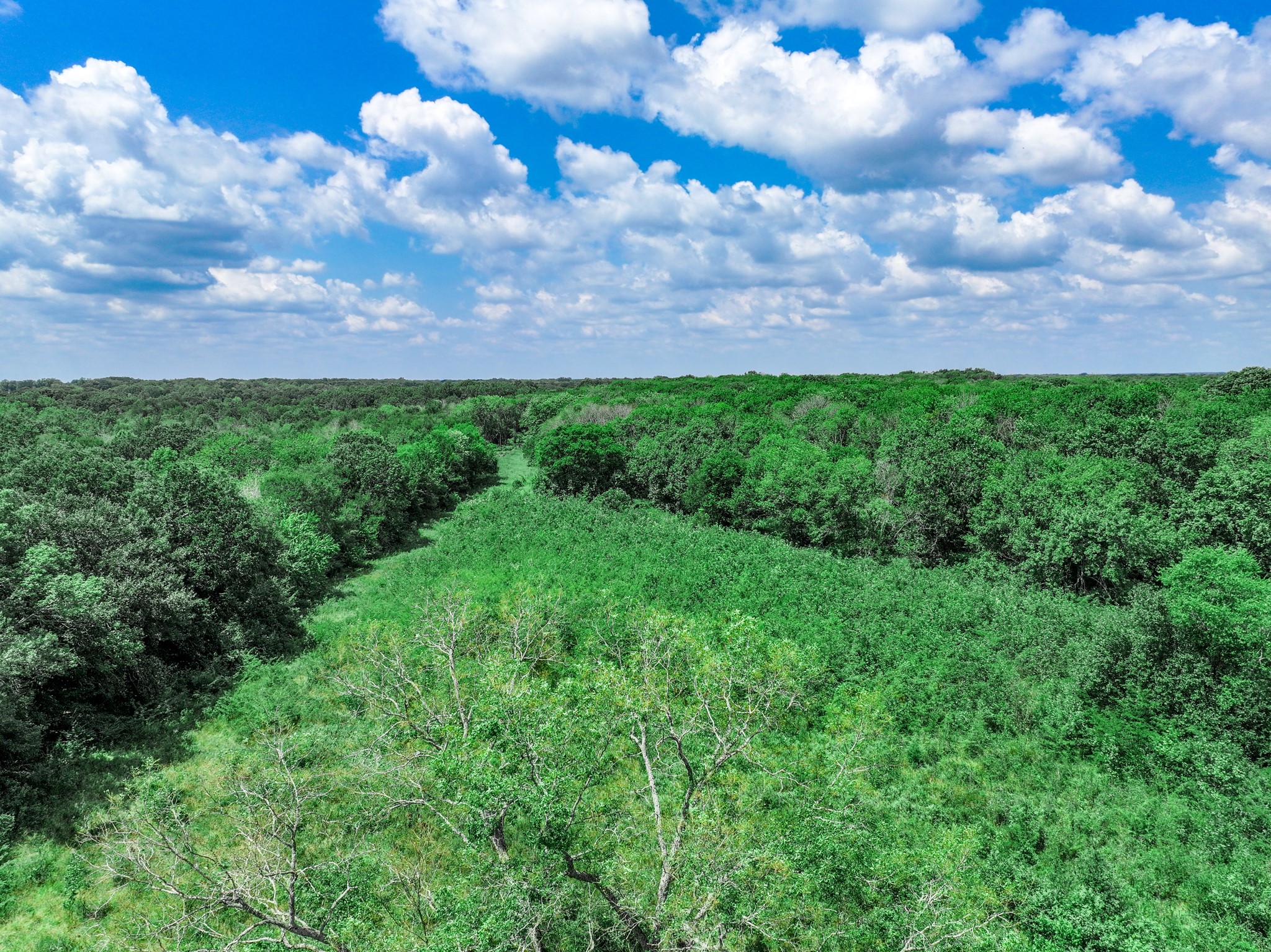 Tbd Fm 71 Highway Talco TX 75487