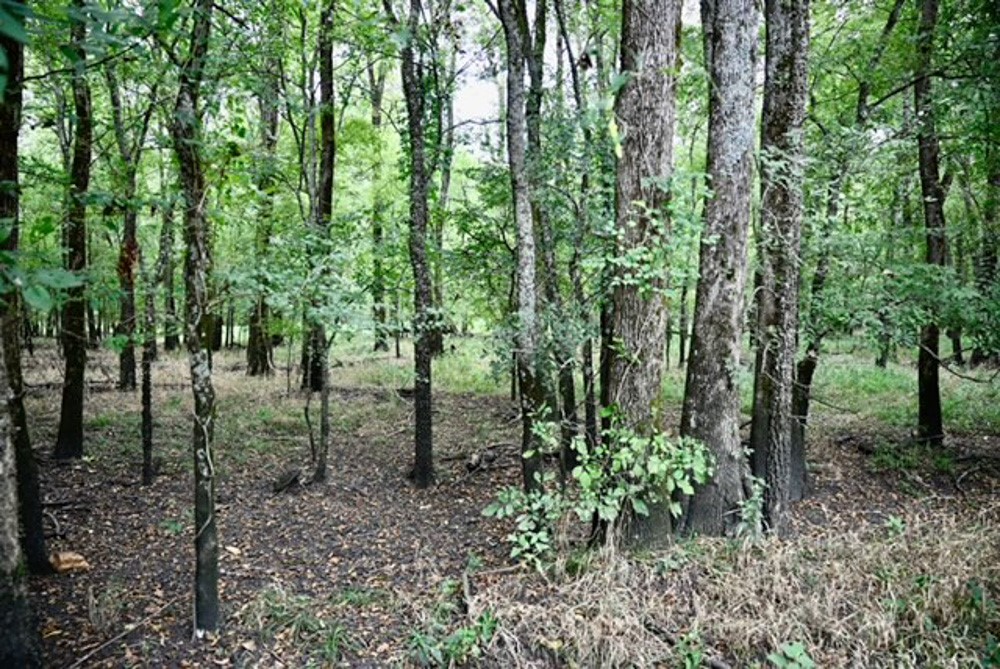 Tbd Fm 71 Highway Talco TX 75487