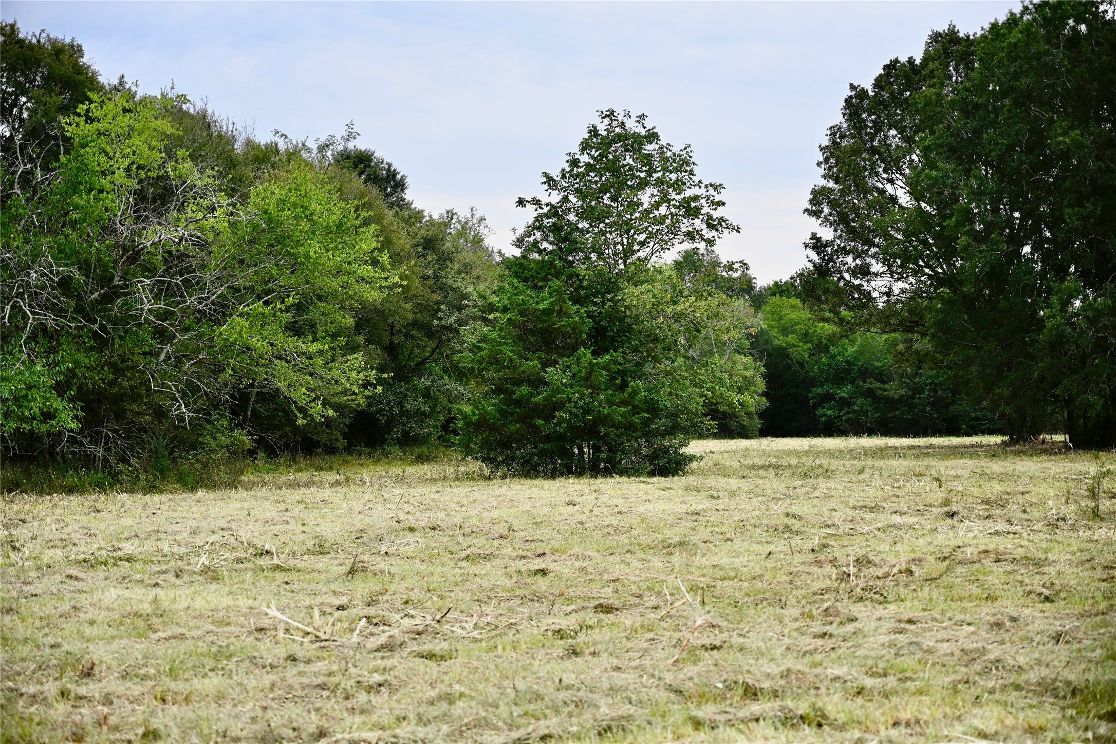 Tbd Fm 71 Highway Talco TX 75487