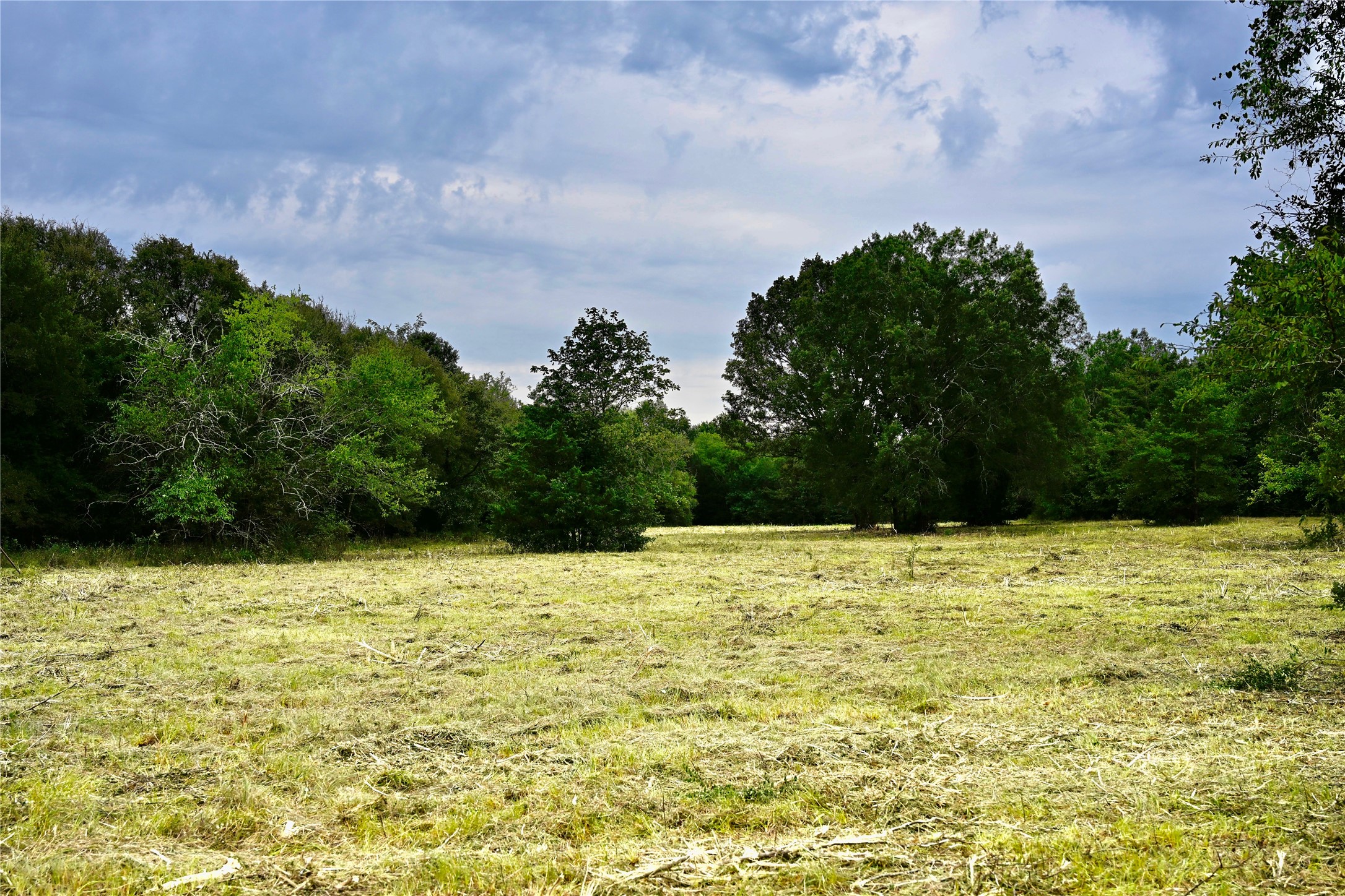 Tbd Fm 71 Highway Talco TX 75487
