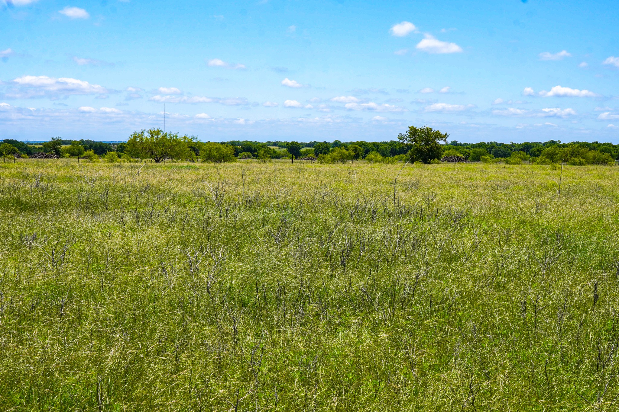 20.92 Acres Highway 281 Jacksboro TX 76458