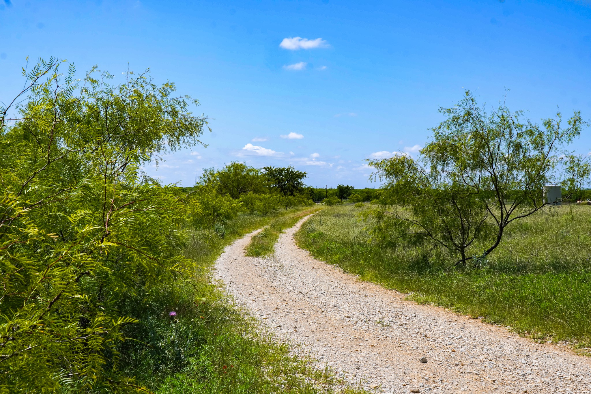 20.92 Acres Highway 281 Jacksboro TX 76458