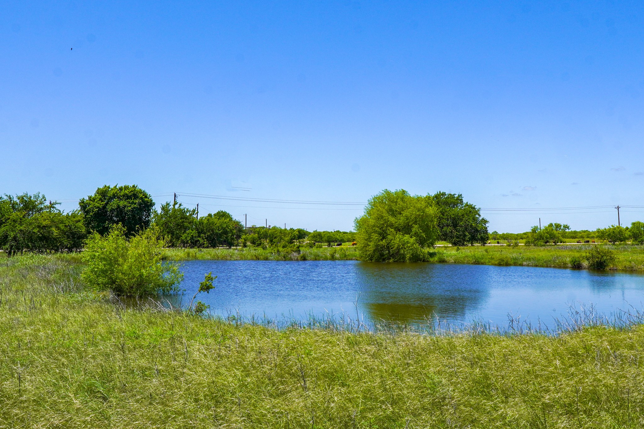 20.92 Acres Highway 281 Jacksboro TX 76458