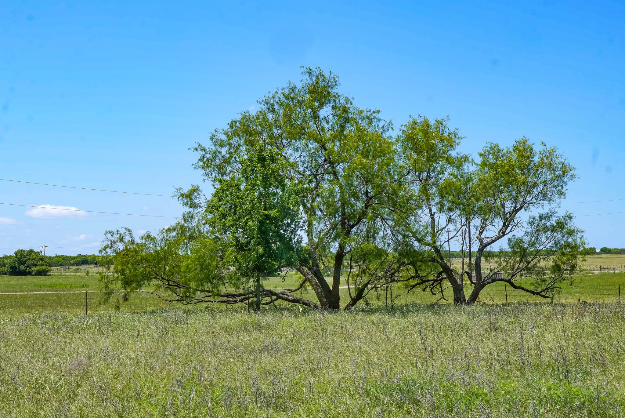 20.92 Acres Highway 281 Jacksboro TX 76458