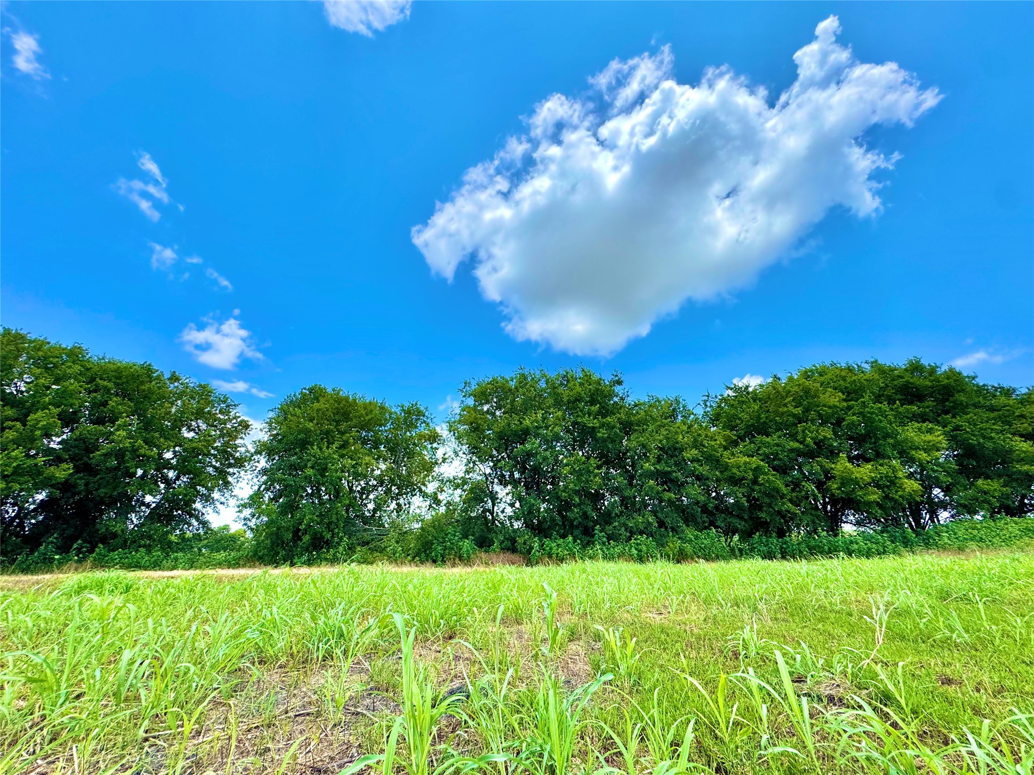 Lot 12 Cr-590 Nevada TX 75173