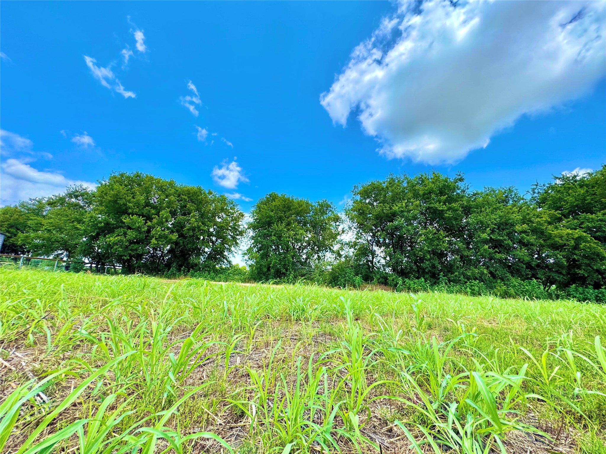 Lot 12 Cr-590 Nevada TX 75173