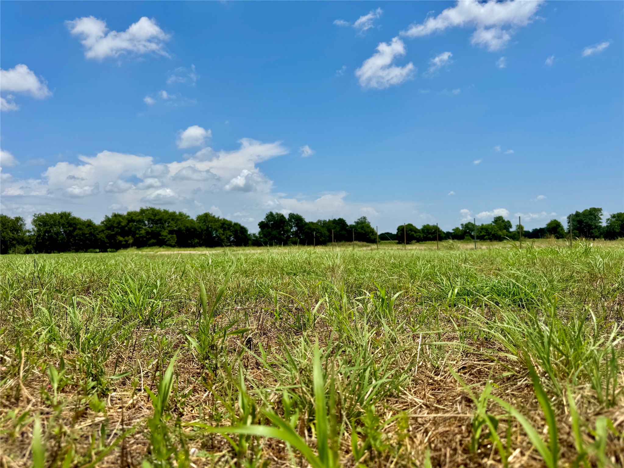 Lot 12 Cr-590 Nevada TX 75173