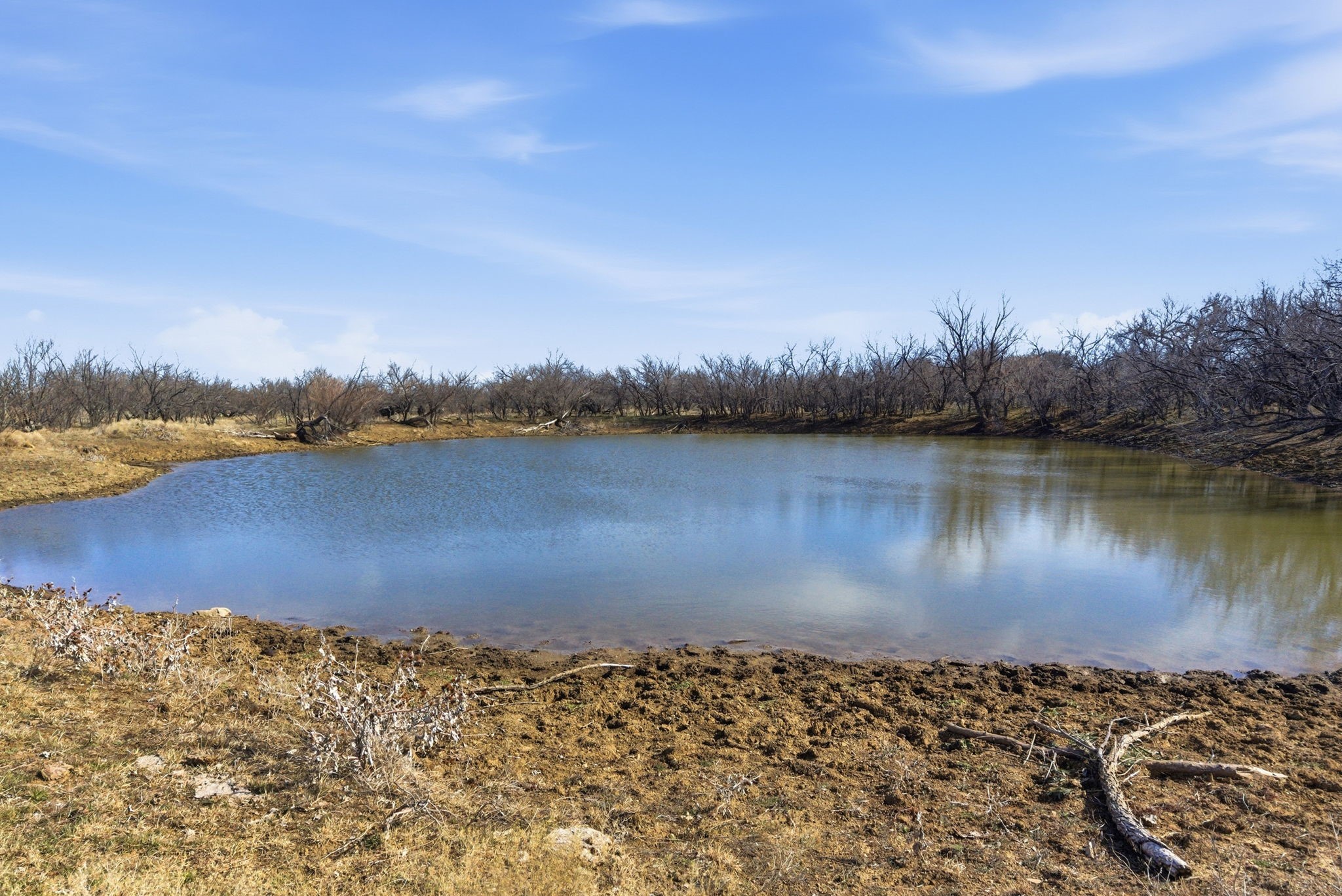 Tbd Fm 880 Moran TX 76464