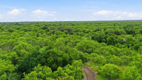 TBD Fm 880 Moran TX 76464