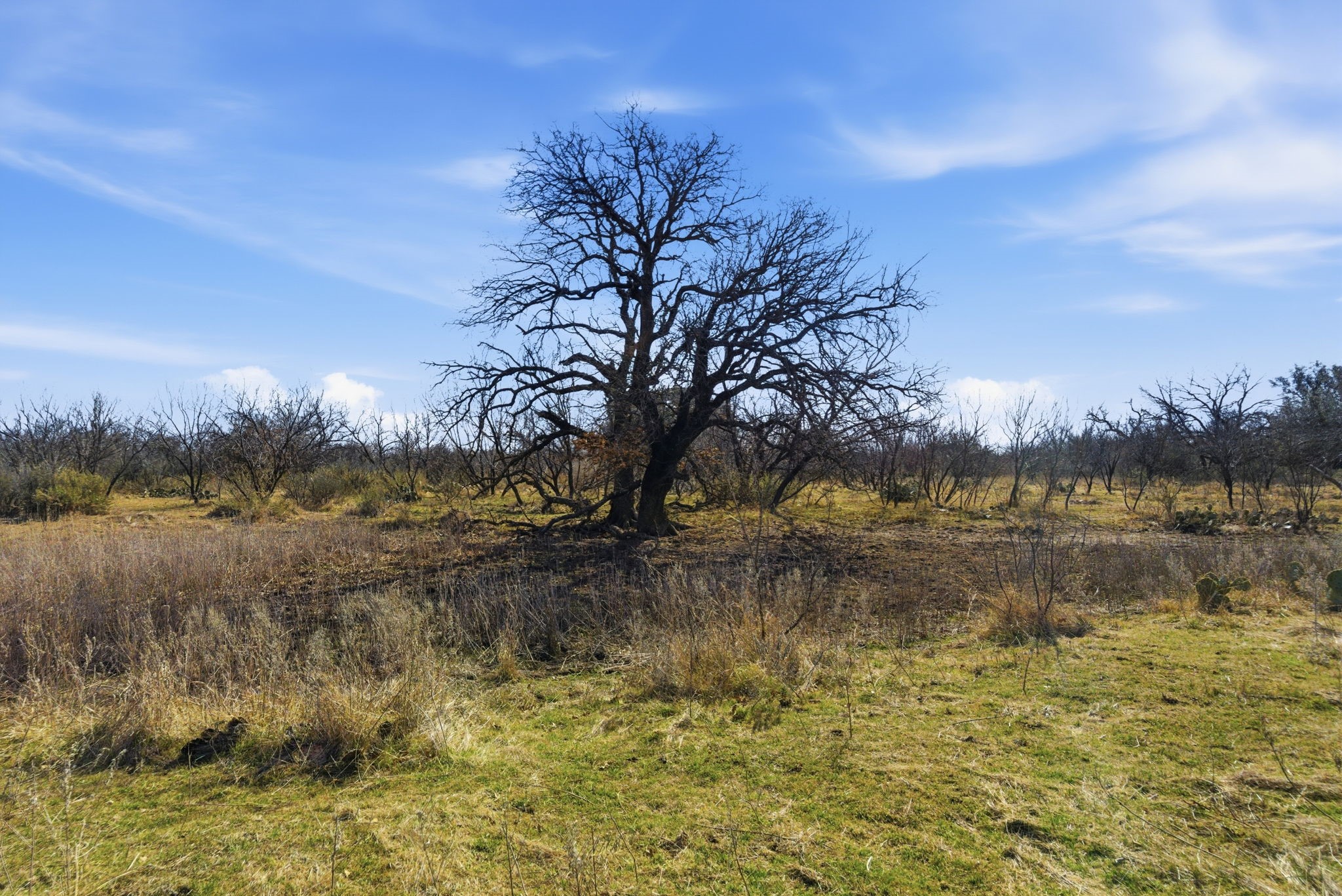 Tbd Fm 880 Moran TX 76464