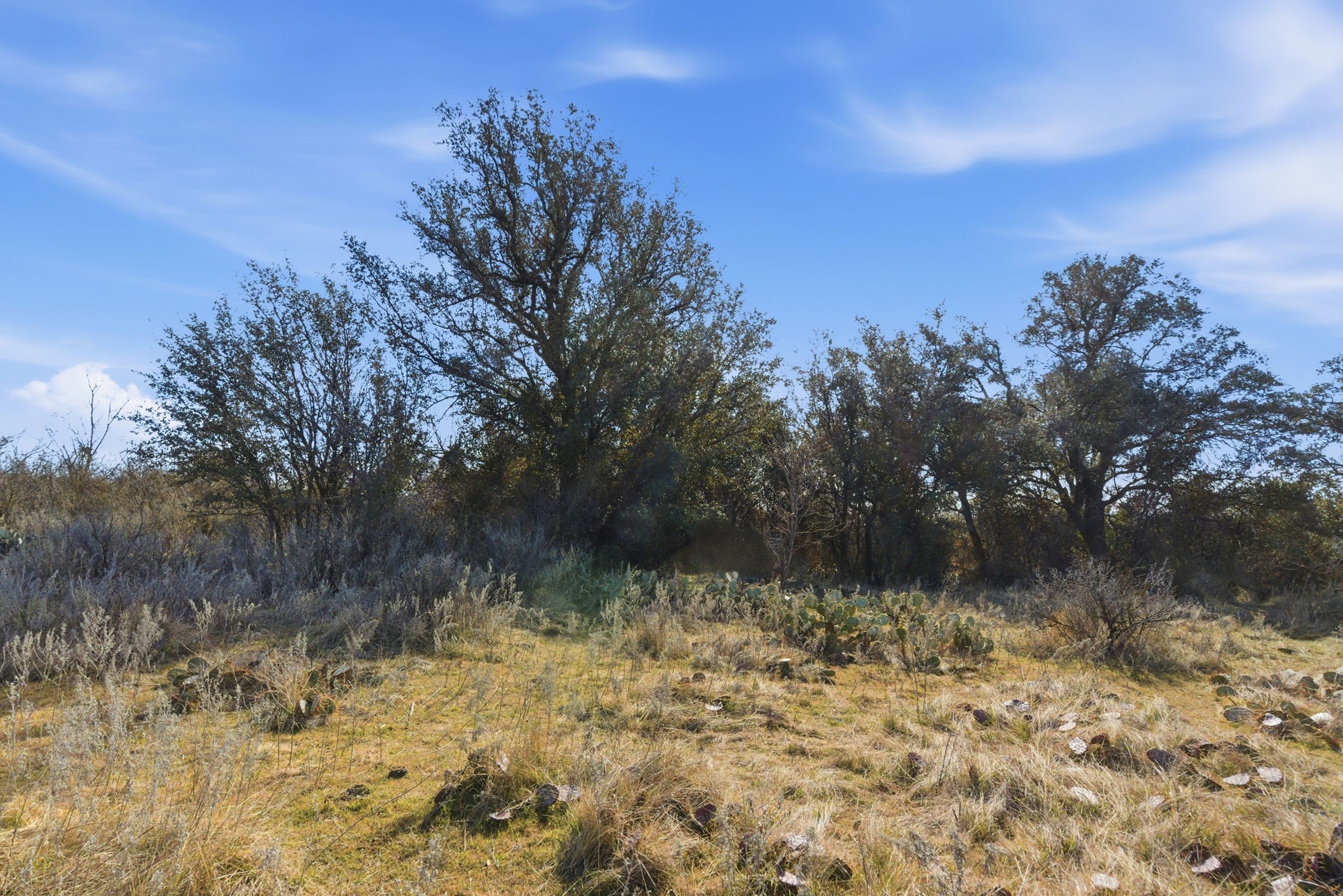 Tbd Fm 880 Moran TX 76464
